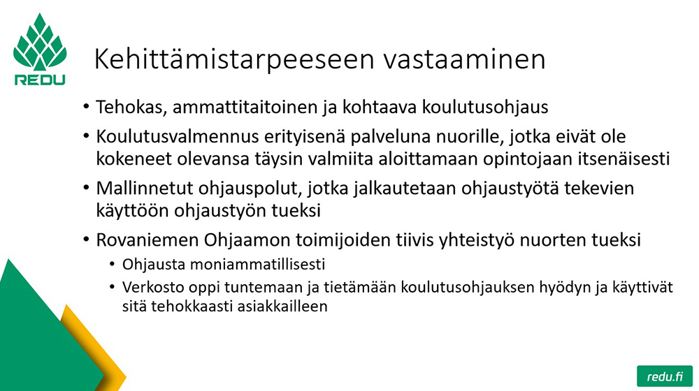 Kuvassa on avattu nuorten ohjaukseen liittyviä ohjauksen kehittämistarpeita ja keinoja niihin vastaamista.