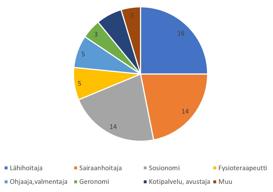 Piirakkakuviossa on kuvattu suurimmat ammatiryhmät yrityksissä. Ne ovat: Lähihoitaja 16, sairaanhoitaja 14, sosionomi/sos.stt 14, fysioterapeutti 5, ohjaaja/valmentaja 5, kotipalvelu/avustaja 4, geronomi 3 ja muu 3.  