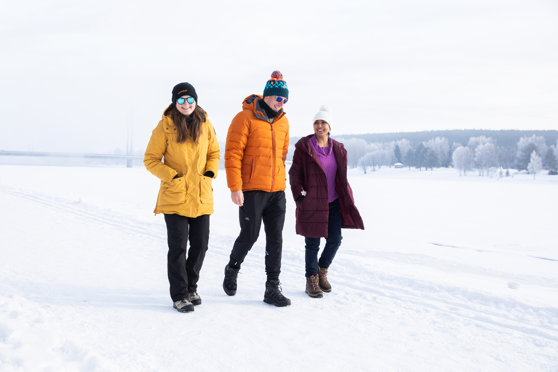 Three people dressed in winter clothes are walking side by side. They are all smiling. In the background, a snowy landscape can be seen.