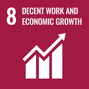 Goal 8 Decent work and economic growth