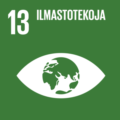 13 Ilmastotekoja