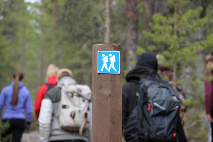 Persons hiking along a path in forest.