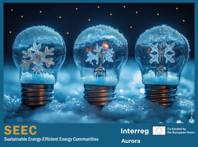 Frosty light bulbs in snow, winter concept.