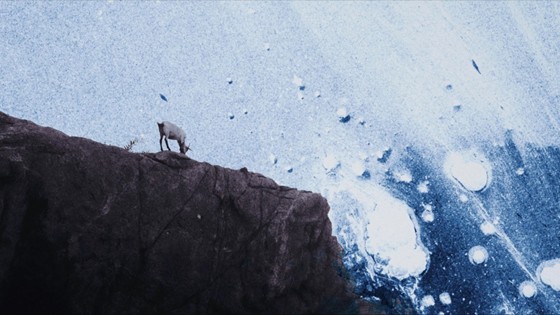 A photograph shows a rocky cliff rising above a frozen surface with scattered patches of snow and ice. At the edge of the cliff, a goat stands looking outward, while the ice below reflects light in pale, irregular patterns.