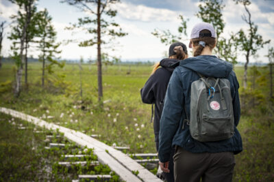 Kaksi henkilöä kulkee kesäisellä suolla pitkospuita pitkin.