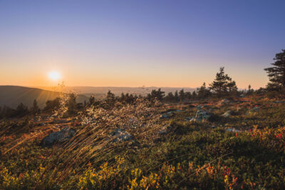 Keskiyön aurinko taivaanrannassa tunturimaisemassa.